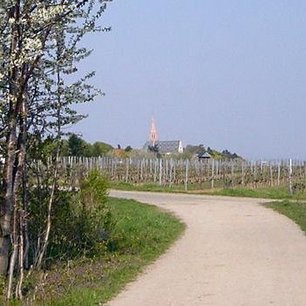 Geistliche Begleitung - Hilfe für den Glaubensweg Geistliche Begleitung - Hilfe für den Glaubensweg