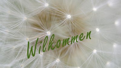 Wilkommen Wilkommen