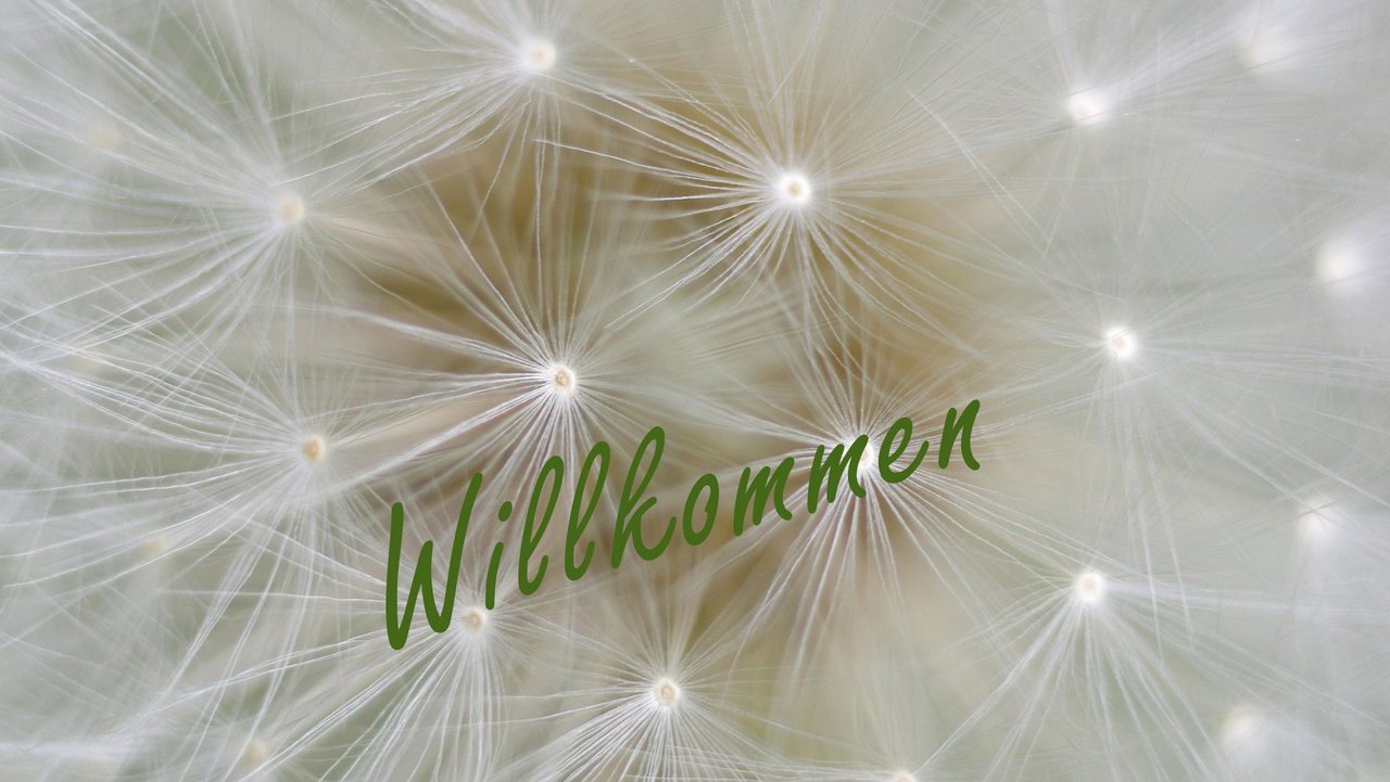 Wilkommen